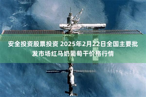 安全投资股票投资 2025年2月22日全国主要批发市场红马奶葡萄干价格行情