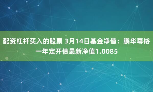 配资杠杆买入的股票 3月14日基金净值：鹏华尊裕一年定开债最新净值1.0085