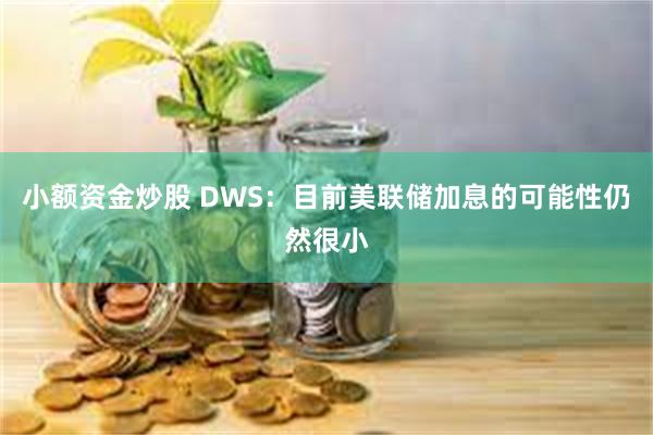 小额资金炒股 DWS：目前美联储加息的可能性仍然很小