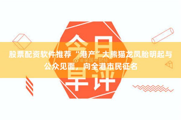 股票配资软件推荐 “港产”大熊猫龙凤胎明起与公众见面，向全港市民征名