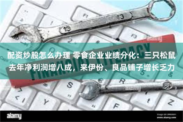 配资炒股怎么办理 零食企业业绩分化：三只松鼠去年净利润增八成，来伊份、良品铺子增长乏力