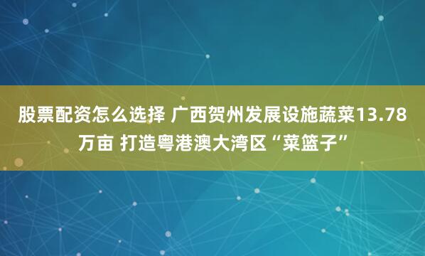 股票配资怎么选择 广西贺州发展设施蔬菜13.78万亩 打造粤港澳大湾区“菜篮子”