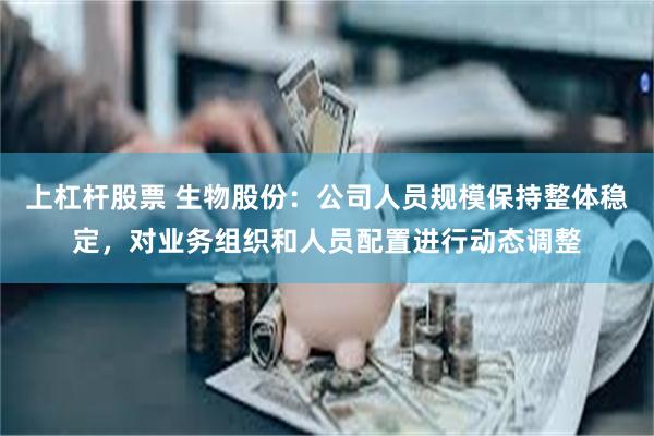 上杠杆股票 生物股份：公司人员规模保持整体稳定，对业务组织和人员配置进行动态调整