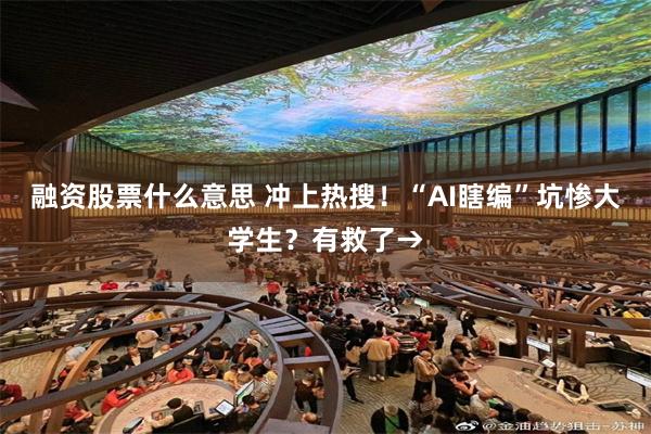 融资股票什么意思 冲上热搜！“AI瞎编”坑惨大学生？有救了→