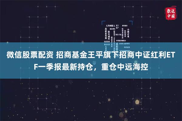 微信股票配资 招商基金王平旗下招商中证红利ETF一季报最新持仓，重仓中远海控