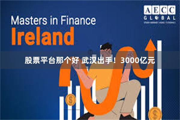 股票平台那个好 武汉出手！3000亿元