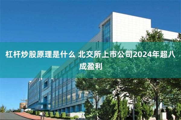 杠杆炒股原理是什么 北交所上市公司2024年超八成盈利