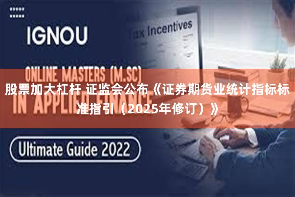 股票加大杠杆 证监会公布《证券期货业统计指标标准指引（2025年修订）》