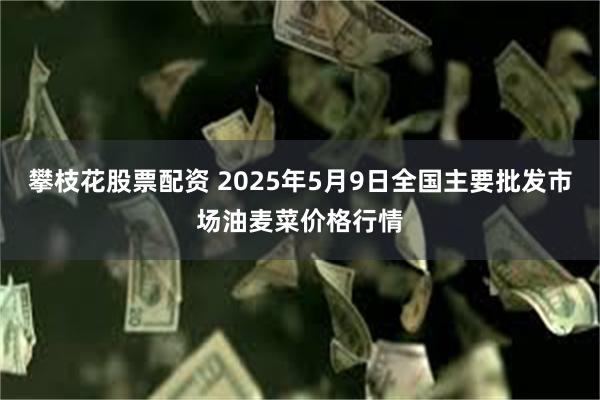 攀枝花股票配资 2025年5月9日全国主要批发市场油麦菜价格行情