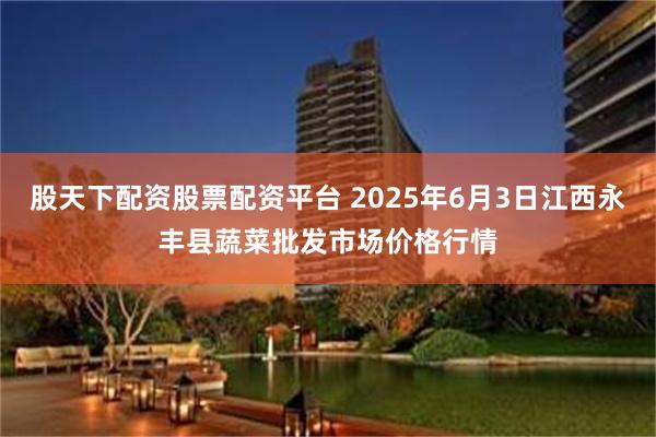 股天下配资股票配资平台 2025年6月3日江西永丰县蔬菜批发市场价格行情