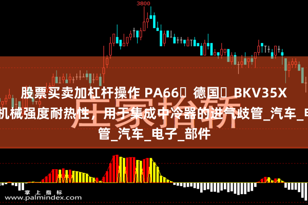 股票买卖加杠杆操作 PA66‌德国‌BKV35XTS2‌高机械强度耐热性，用于集成中冷器的进气歧管_汽车_电子_部件