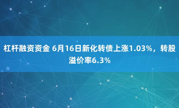 杠杆融资资金 6月16日新化转债上涨1.03%，转股溢价率6.3%