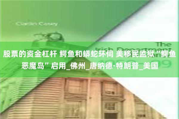 股票的资金杠杆 鳄鱼和蟒蛇环伺 美移民监狱“鳄鱼恶魔岛”启用_佛州_唐纳德·特朗普_美国