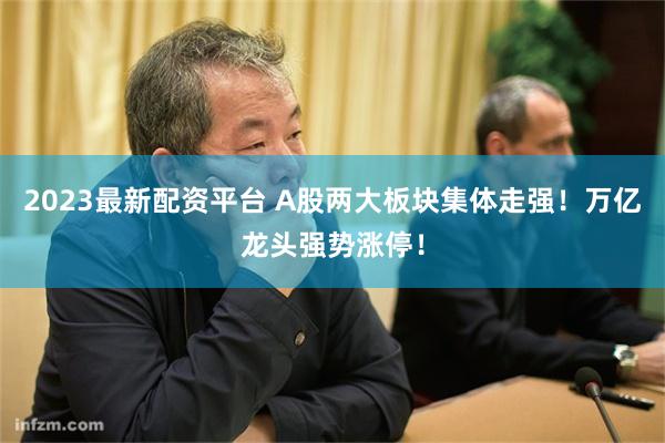 2023最新配资平台 A股两大板块集体走强！万亿龙头强势涨停！